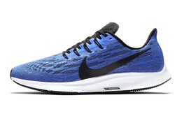 Мужские кроссовки для бега Nike Pegasus 36 aq2203-400