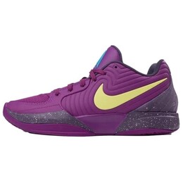 Баскетбольные кроссовки мужские низкие фиолетовые Nike fd7328-500 | purple