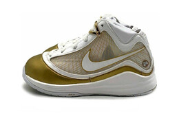 Детские баскетбольные кроссовки Nike Lebron 7 PS ck0718-100