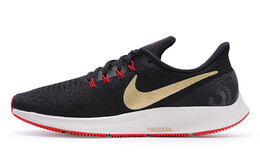 Мужские кроссовки для бега Nike Pegasus 35 942851-018