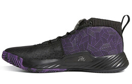 Мужские баскетбольные кроссовки Adidas D lillard 5 ef2259