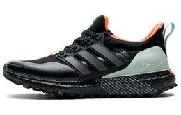 Кроссовки для бега Adidas Ultraboost Guard унисекс fw7759