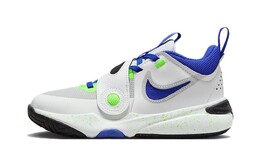 Детские баскетбольные кроссовки Nike Team Hustle D 11 PS dv8994-101
