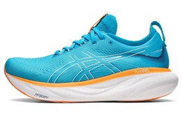 Кроссовки мужские Asics GEL-Nimbus 25 1011b547-400