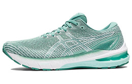 Кроссовки Asics GT-2000 10 Женские 1012b045-300