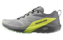 Кроссовки мужские Sense Ride 5 с низким верхом серые/зеленые Salomon l47144200 | dusty green