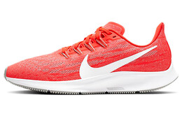 Мужские кроссовки для бега Nike Pegasus 36 aq2203-602