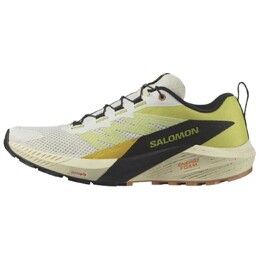 Кроссовки Sense Ride 5 мужские низкие желтые/черные Salomon 474584 | yellow/black