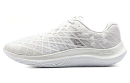 Мужские кроссовки Under Armour Flow Velociti Wind 3025204-102