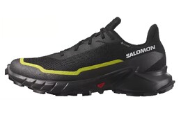 Кроссовки для бега унисекс с низким верхом черного цвета Salomon 474604 | black