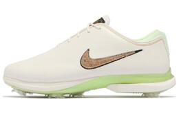 Мужские кроссовки для гольфа Nike Victory Tour dc5051-100