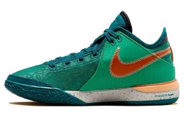 Мужские баскетбольные кроссовки Nike LeBron NXXT Gen, Geode Teal/Melon Tint/Stadium Green/Campfire Orange dr8784-301 | geode teal/melon tint/stadium green/campfire orange