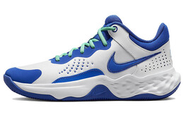 Мужские баскетбольные кроссовки Nike Fly By Mid 3 dd9311-102