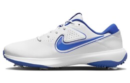 Мужские кроссовки для гольфа Nike dx9028-140