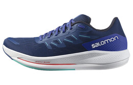 Кроссовки Salomon Spectur 'Estate Blue Mint Leaf' 415899