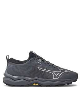 Беговые кроссовки Mizuno Wave Daichi 8 Gtx GORE-TEX J1GK2456, черный 0000303485795 | negro