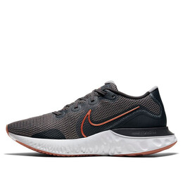 Кроссовки обновляют бег Nike, серый ck6357-004 | gray/gray/gray/gold