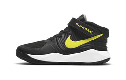 Детские баскетбольные кроссовки Nike Team Hustle D 9 FlyEase PS bv2951-013