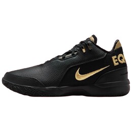 Кроссовки Nike Zoom LeBron NXXT Gen AMPD Equity, белый/черный fj1566-103 | white/black