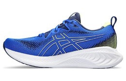 Кроссовки Asics Gel-Cumulus 25 Мужчины 1011b621-406