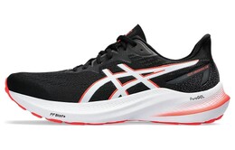 Кроссовки Asics GT-2000 12 Мужчины, Black/White 1011b691-004 | black/white