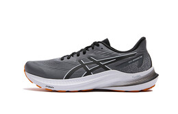 Кроссовки Asics GT-2000 12 Мужчины, Gray 1011b691-020 | gray