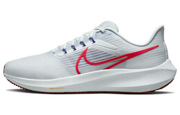 Мужские кроссовки для бега Nike Air Zoom Pegasus 39 dh4071-007