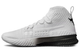 Мужские баскетбольные кроссовки Under Armour Project Rock 1 3020788-102