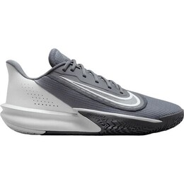 Баскетбольные кроссовки Precision VII Nike, цвет Rauchgrau/Photonstaub/Eisengrau 216415001 | rauchgrau/photonstaub/eisengrau