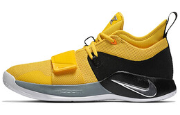 Мужские баскетбольные кроссовки Nike PG 2.5 bq8452-700