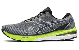 Мужские кроссовки Asics GT-2000 10 1011b186-023