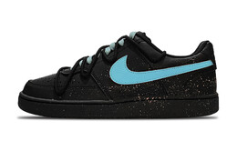 Кроссовки для скейтбординга Court Vision Low Unisex Low-Top Black/Blue Nike dh2987-002（team49-银月幽梦） | black/blue