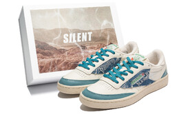 Скейтбордические кеды Club C Unisex Low-Go бежевый/синий Reebok dv6434(team160-蓝海box) | blue