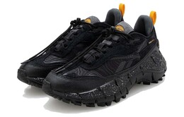 Кроссовки Zig Kinetica 2.5 унисекс низкие черный Warrior Reebok 100074065 | black warrior