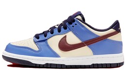 Кроссовки для скейтбординга Nike Dunk Low женские, система fv8119-161 | system