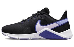 Кроссовки Nike Legend Essential для женщин cq9545-009