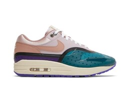 Кроссовки Nike Wmns Air Max 1 Premium, разноцветный dv2301 501 | multi-color