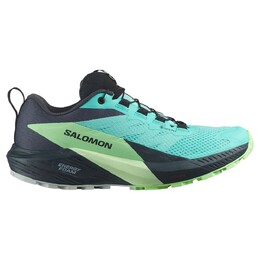 Кроссовки Salomon Sense Ride 5 Goretex Trail, синий 139448732 | blue
