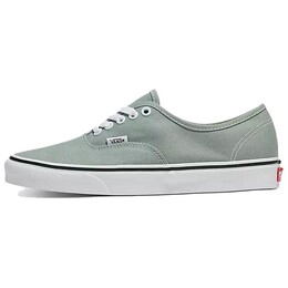 Кроссовки Vans Authentic 'Color Theory - Iceberg Green', зеленый vn000bw5cjl | green