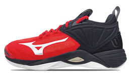 Кроссовки Mizuno Momentum унисекс v1ga211263