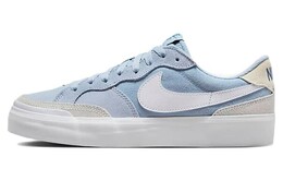 Женские кроссовки для скейтбординга Nike SB Zoom Pogo dv5469-400