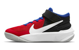 Женские винтажные баскетбольные кроссовки Nike Team Hustle D 10 dd7303-005