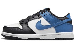 Женские кроссовки для скейтбординга Nike Dunk Low, синий dh9765-104 | 蓝色