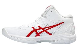 Баскетбольные кроссовки Asics Gel-Hoop V15 унисекс, Белый 1063a063-104 | white