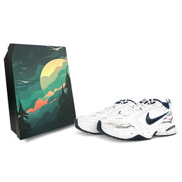Кроссовки Nike Air Monarch 4 Chunky Sneakers Unisex Low-Top Black 415445-102(team76-水墨日出s-box)