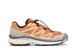 Кроссовки XT-6 Salomon, оранжевый l41709900 | apricot buff/frost grey