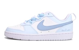 Женские кроссовки для скейтбординга Nike Court Borough Low, Light Blue dq5979-100(team6-泡沫甜豆) | light blue
