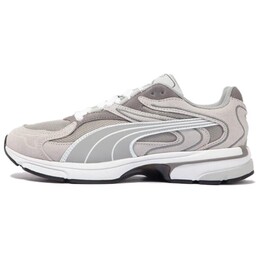 Кроссовки Puma Lifestyle Shoes Unisex Low-top Gray/Silver, серый 399828-01 | silver/gray