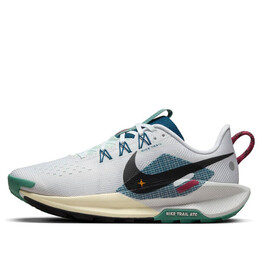 Кроссовки pegasus trail 5 'court blue cedar' Nike, белый dv3865-100 | white/court blue/cedar/black