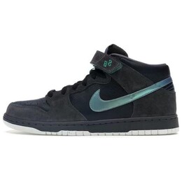 Кроссовки Nike SB Dunk Mid Northern Lights, черный 314381-031 | black